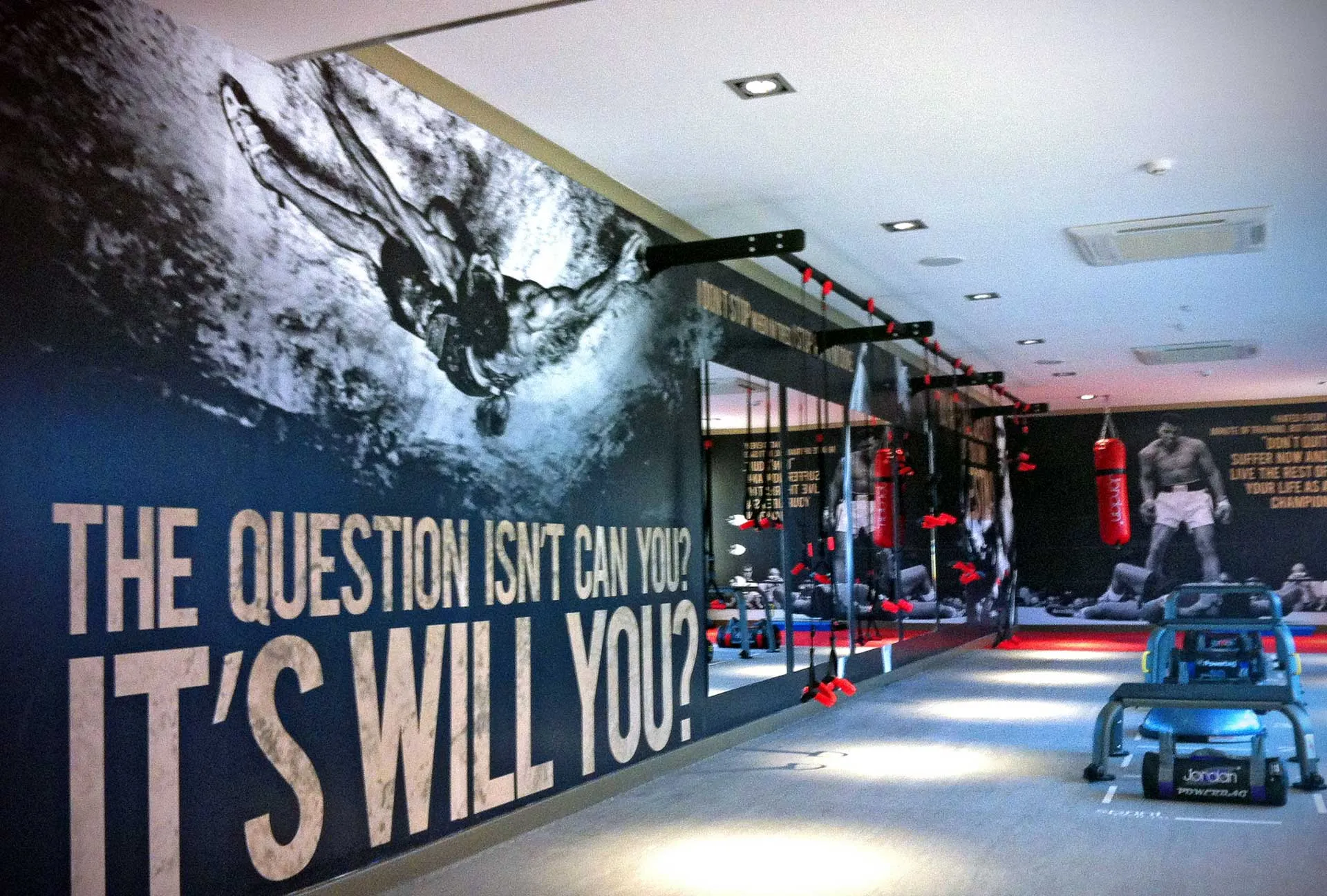 Gym Walpaper Artwork — wallpaper by Delta Media Services